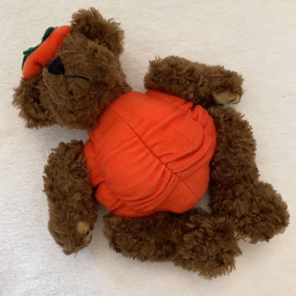 {VTG} Ty | 1993 Peter “Trick or Treat!” Pumpkin Halloween Fall Stuffed Bear - Picture 14 of 16